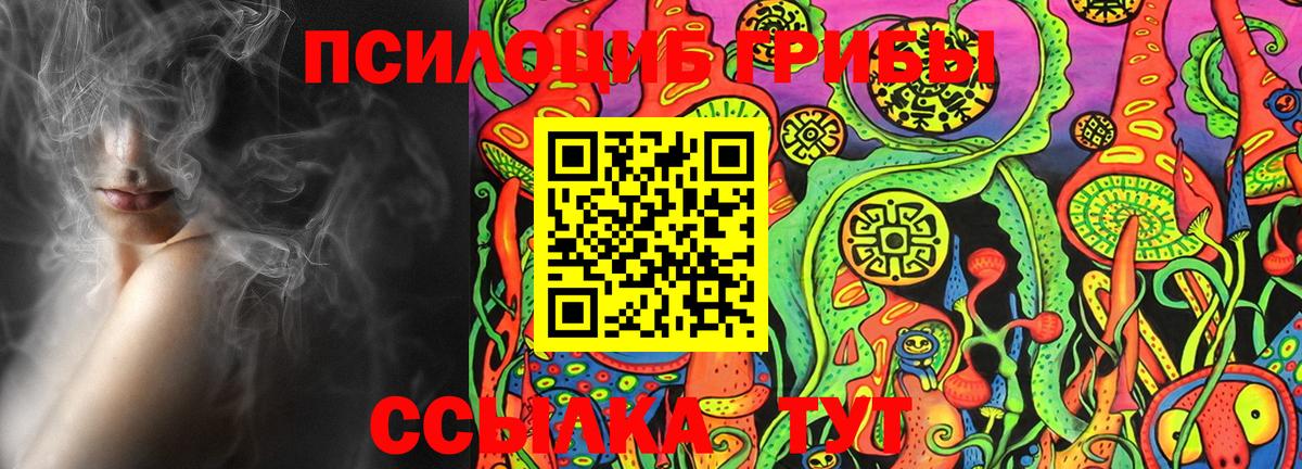 Галлюциногенные грибы Psilocybine cubensis Малоярославец