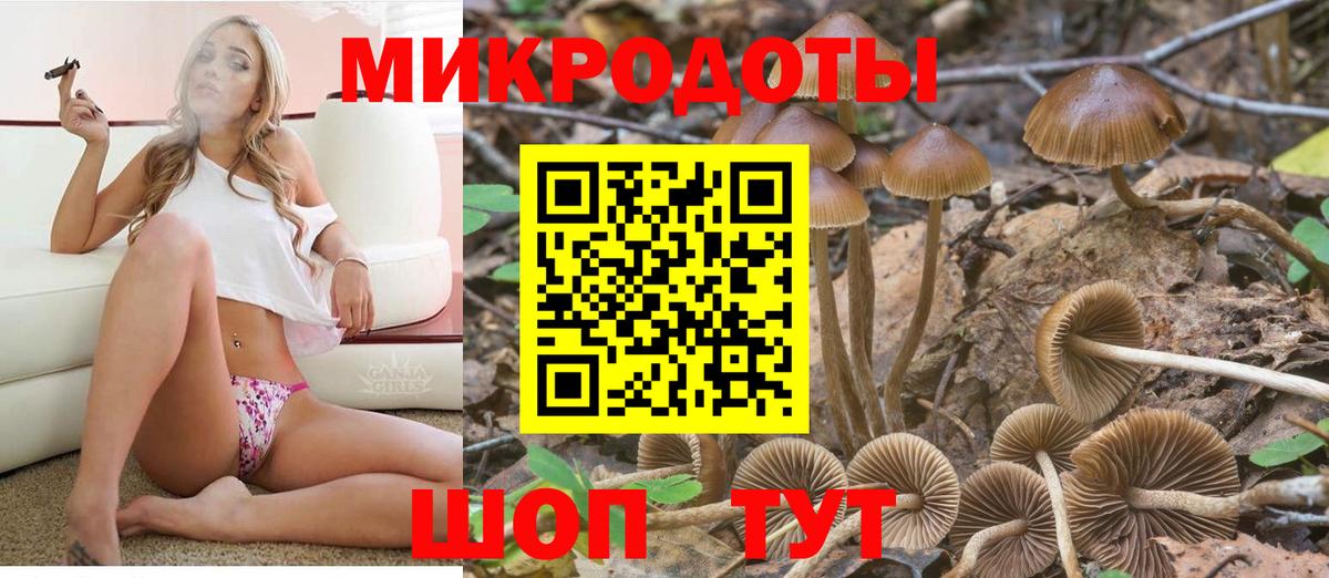 Галлюциногенные грибы мицелий  Вход с VPN  Малоярославец 